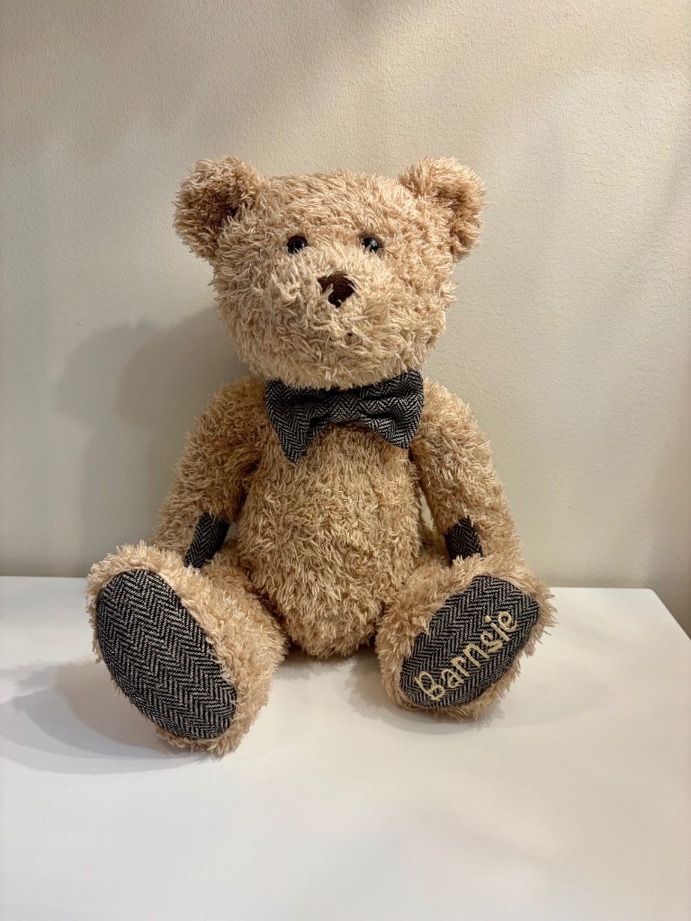Barnes & Noble Barnsie Bear 17"